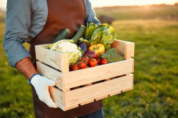 Food Security