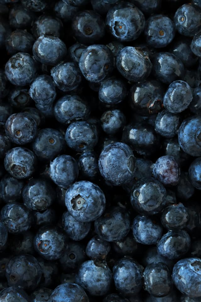Blueberries