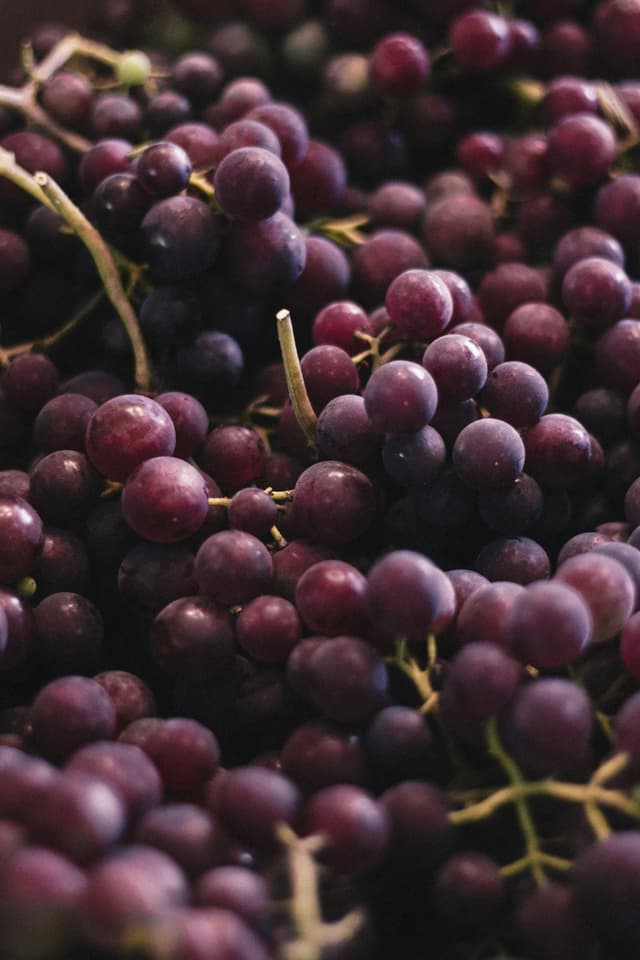 Red Grapes