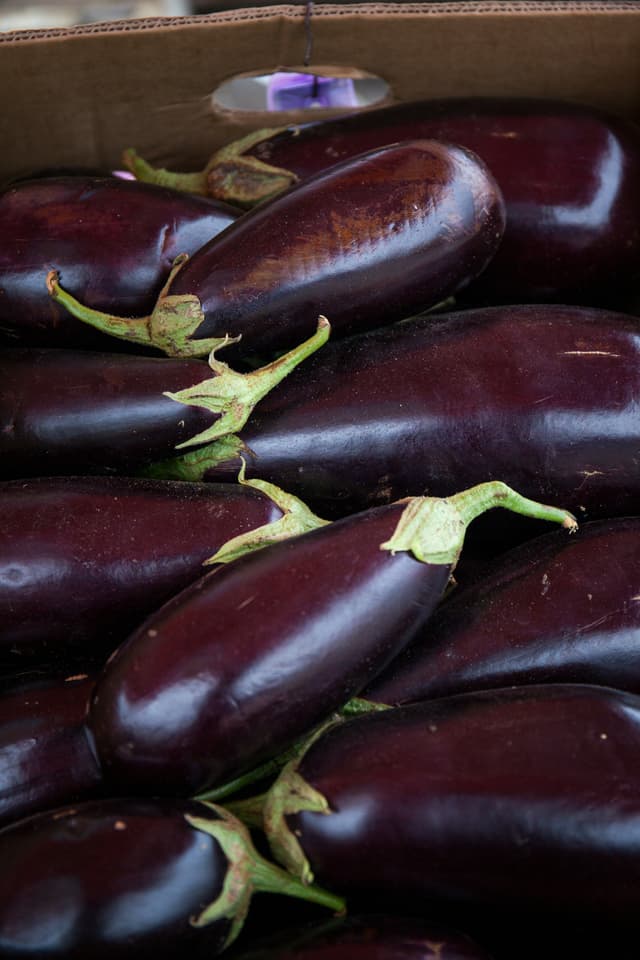 Aubergines