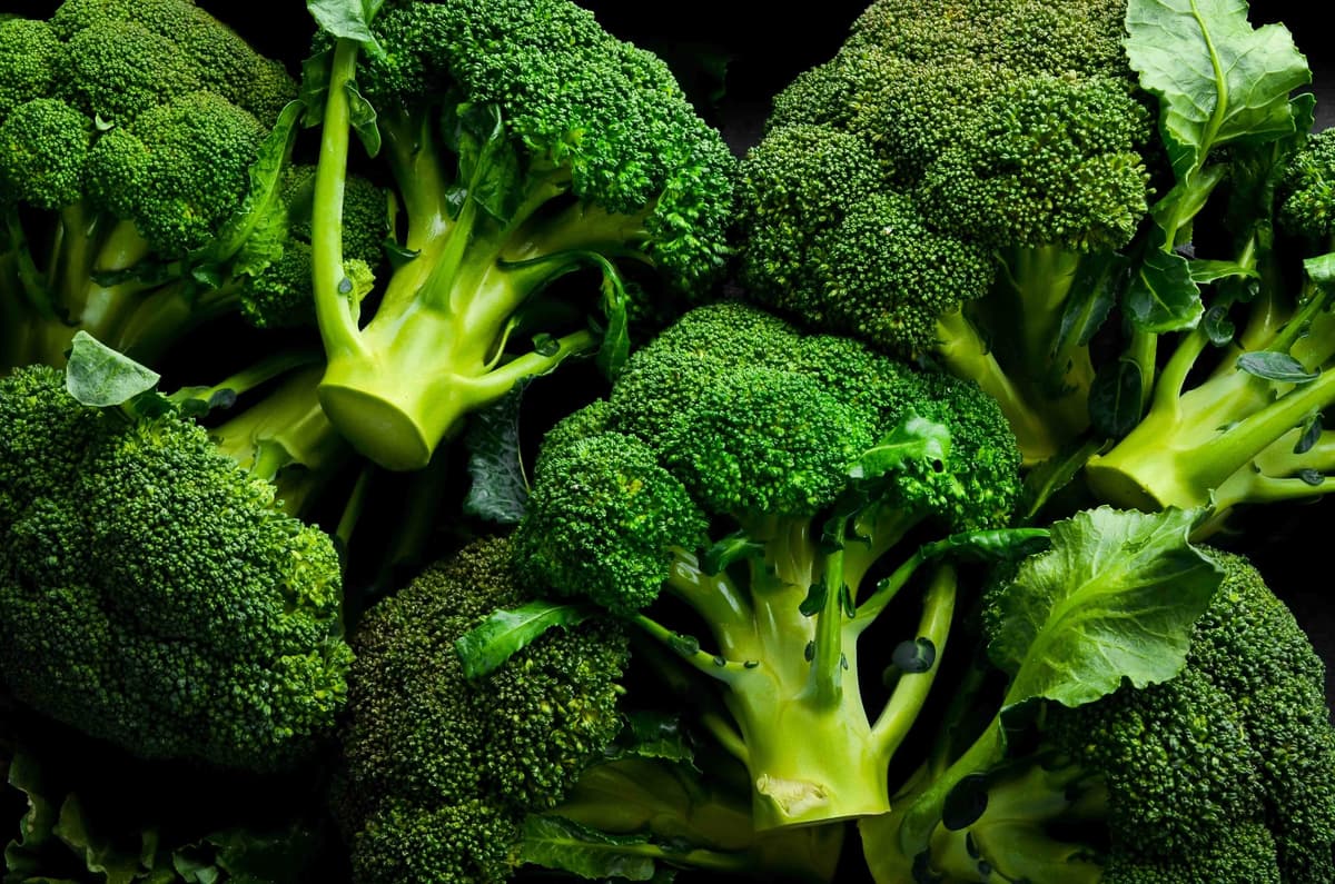 Fresh Broccoli