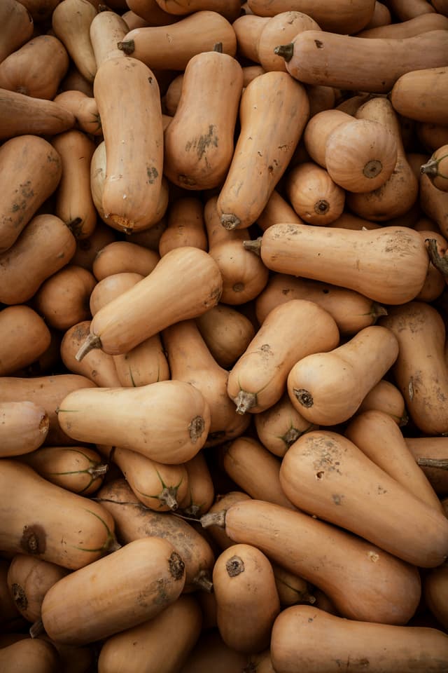 Butternut