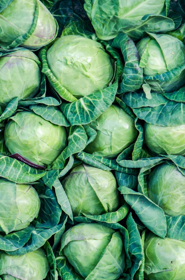 Cabbages