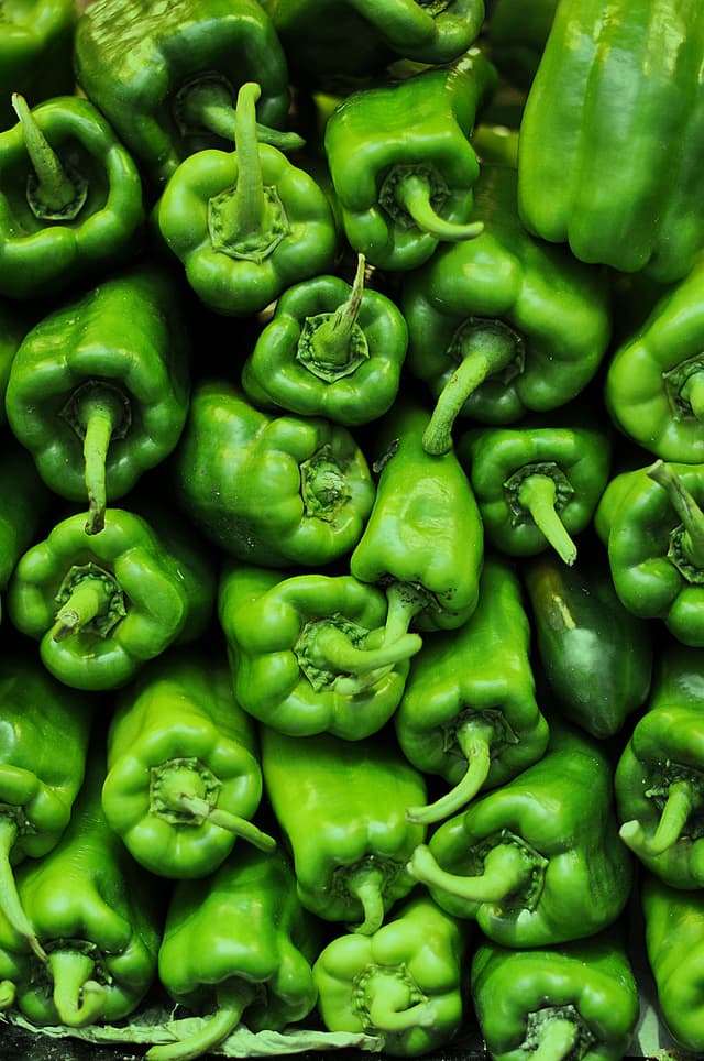Green Bell Pepper
