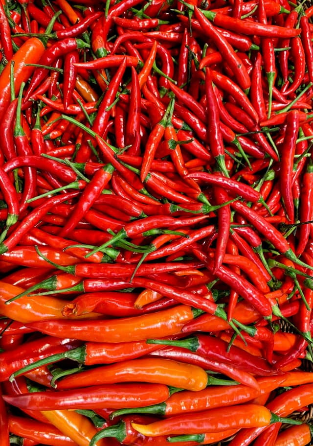 Red Chilli