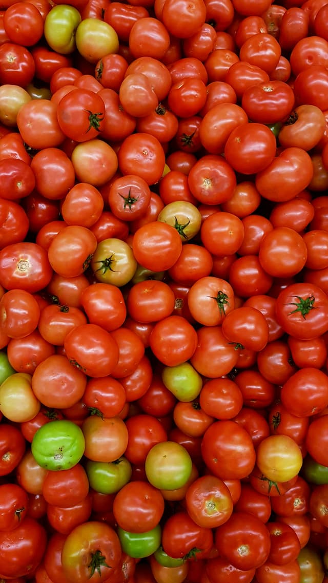 Tomatoes