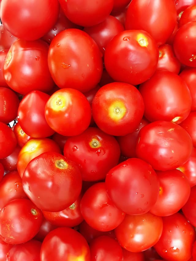 Tree Tomatoes