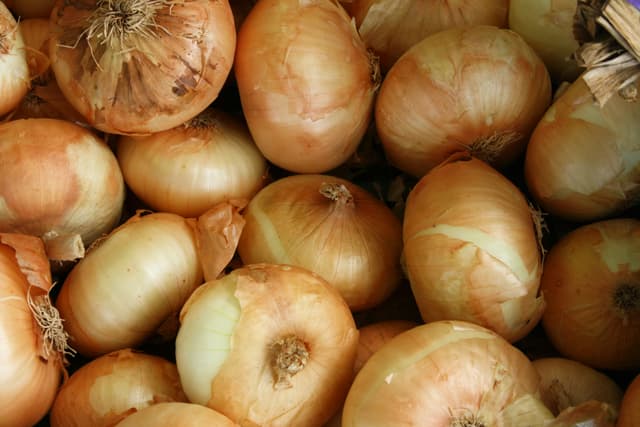 White Onions